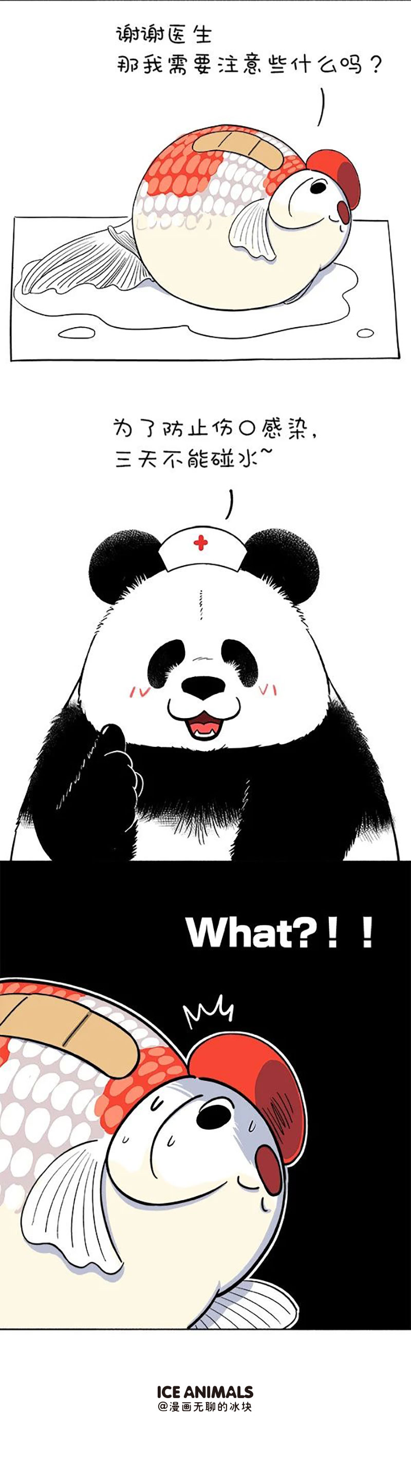 快把动物放进冰箱161 医生，我读书少，你不要骗我