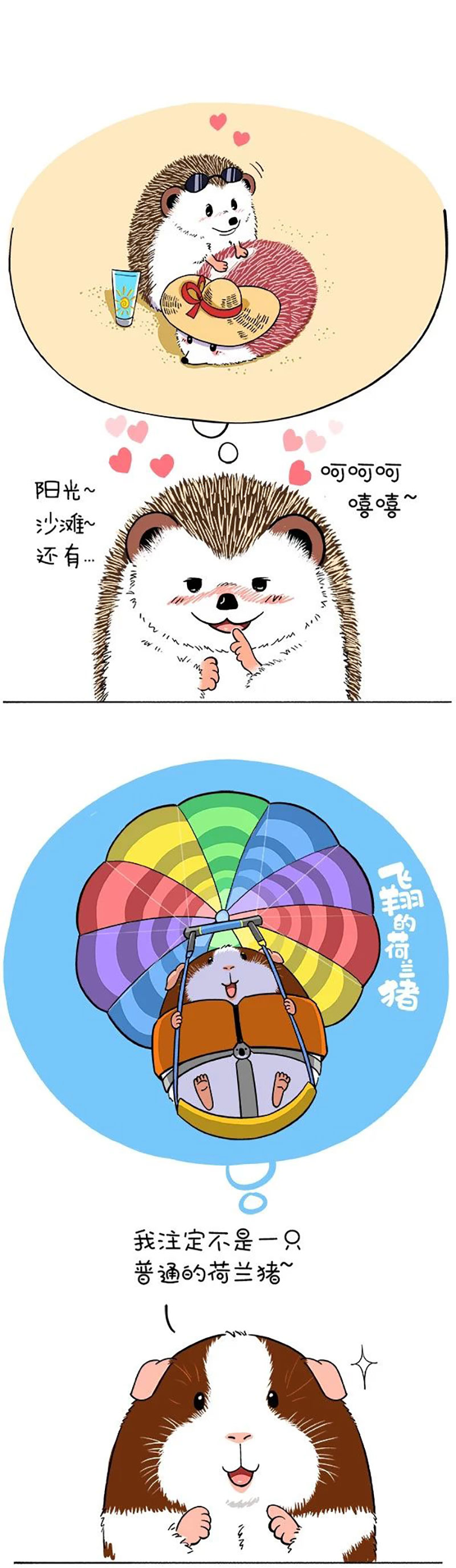 快把动物放进冰箱167 萌动夏令营澳洲行（预热）