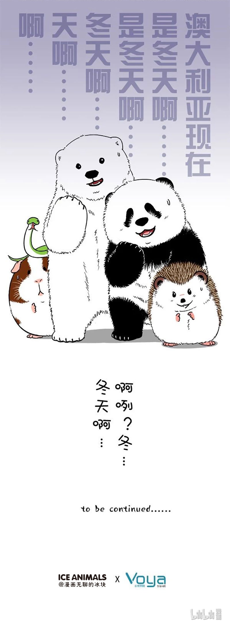 快把动物放进冰箱167 萌动夏令营澳洲行（预热）