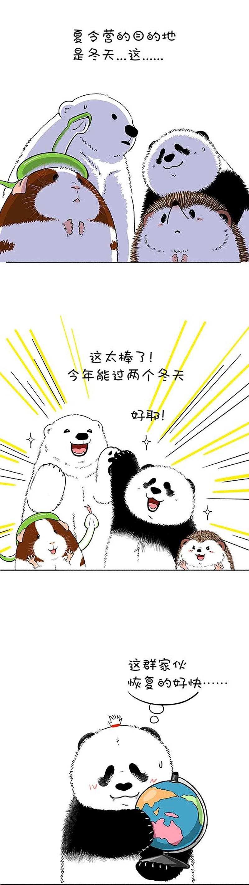 快把动物放进冰箱169 真正的关怀，是给你我的卡