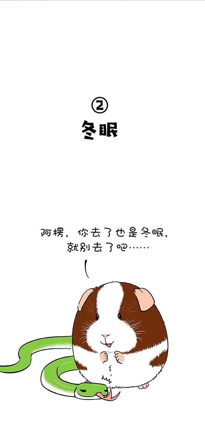 快把动物放进冰箱169 真正的关怀，是给你我的卡