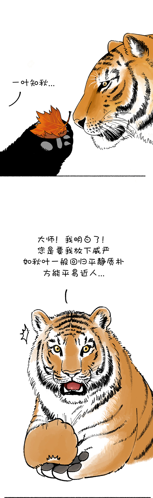 快把动物放进冰箱179 你秋啥？秋你咋滴！