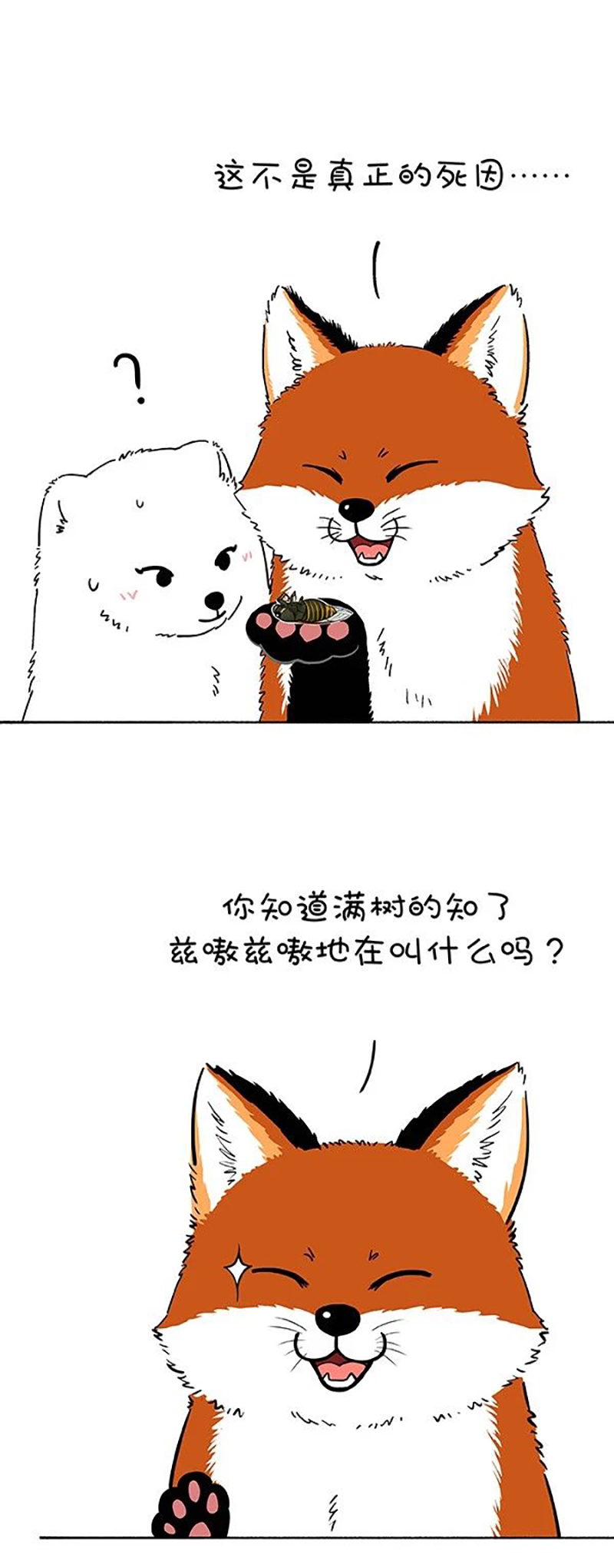 快把动物放进冰箱180 请两位换个地方秀恩爱