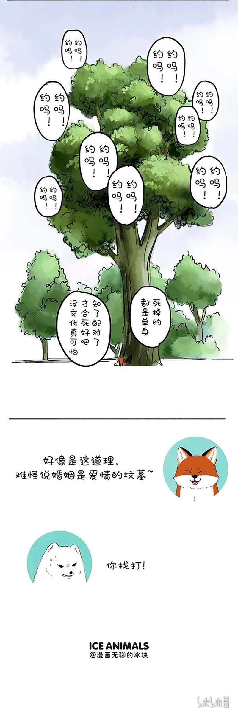 快把动物放进冰箱180 请两位换个地方秀恩爱