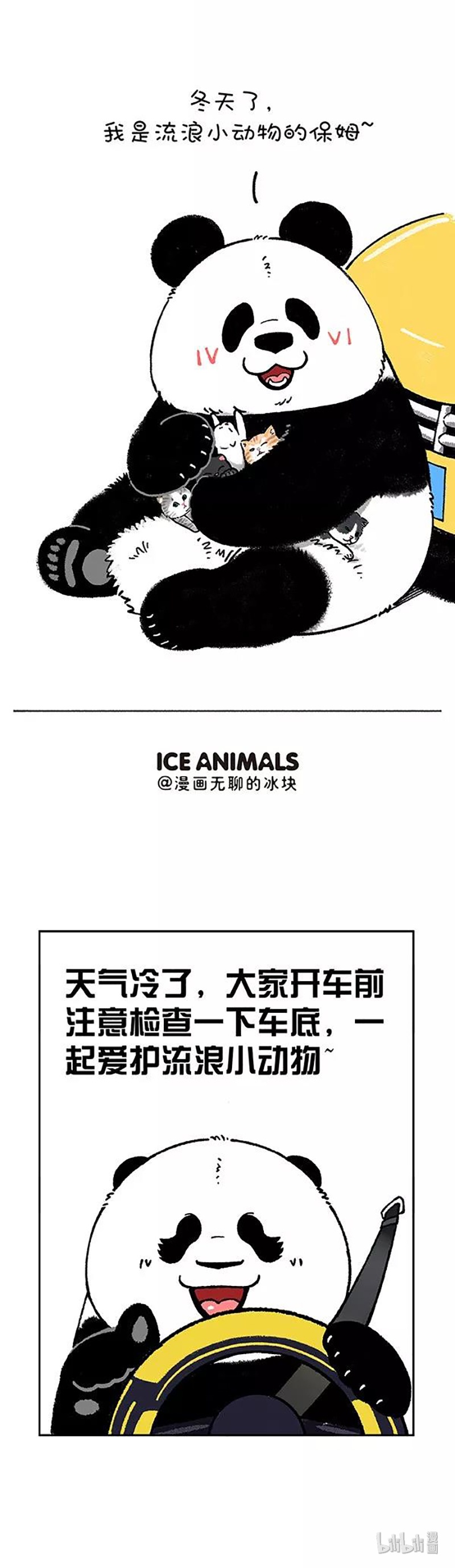 快把动物放进冰箱196 你应该在车里，不应该在车底