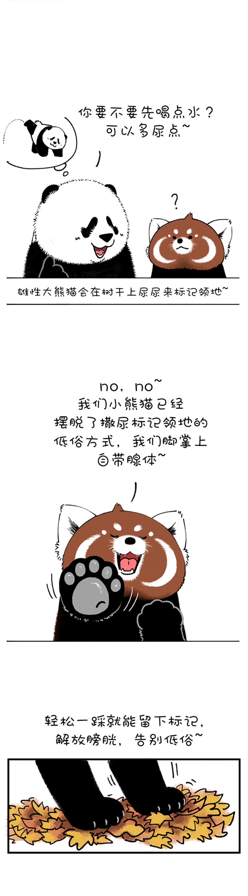 快把动物放进冰箱201 今天就让你见识见识哥的手段