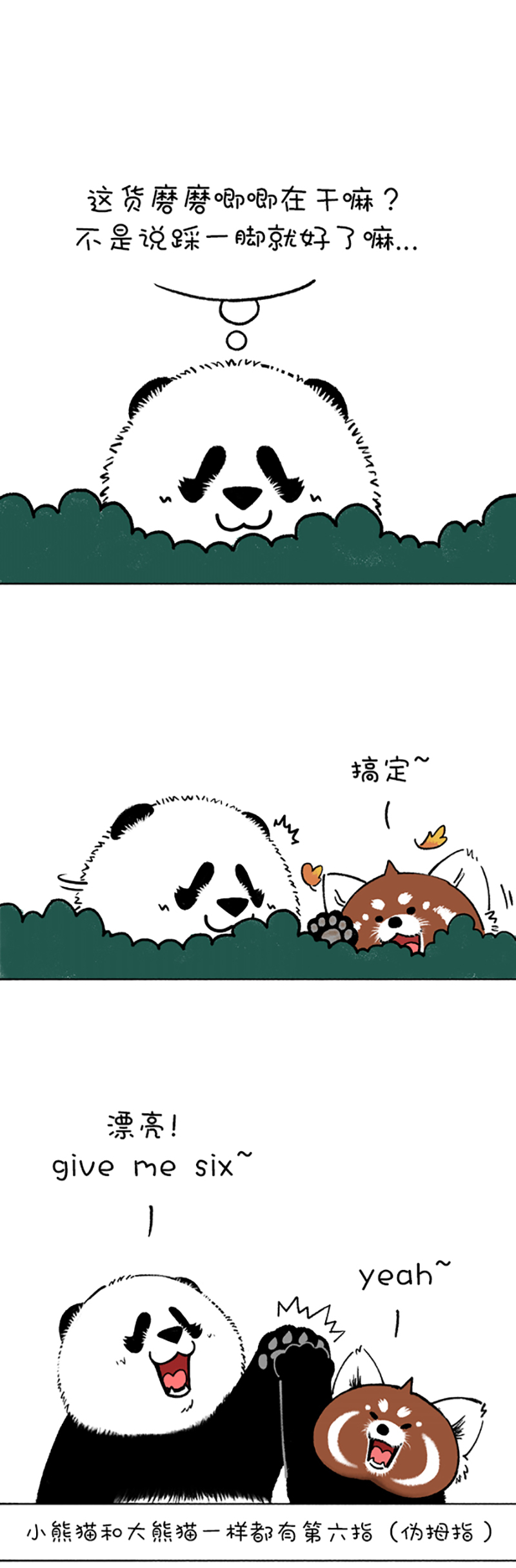 快把动物放进冰箱201 今天就让你见识见识哥的手段