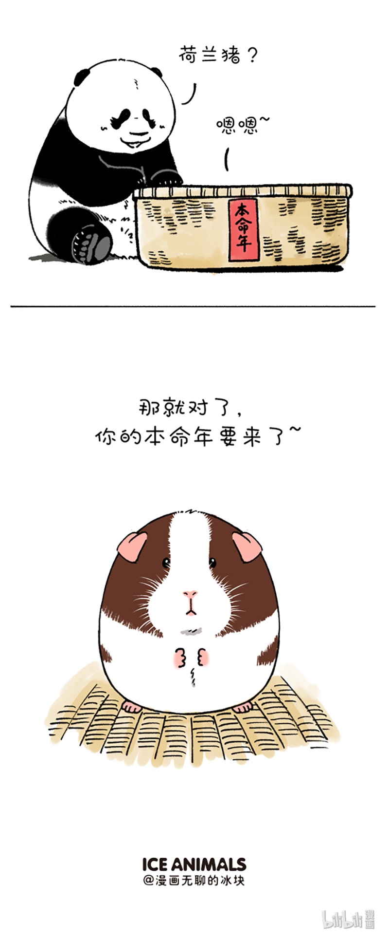 快把动物放进冰箱203 没想到你是这样的猪