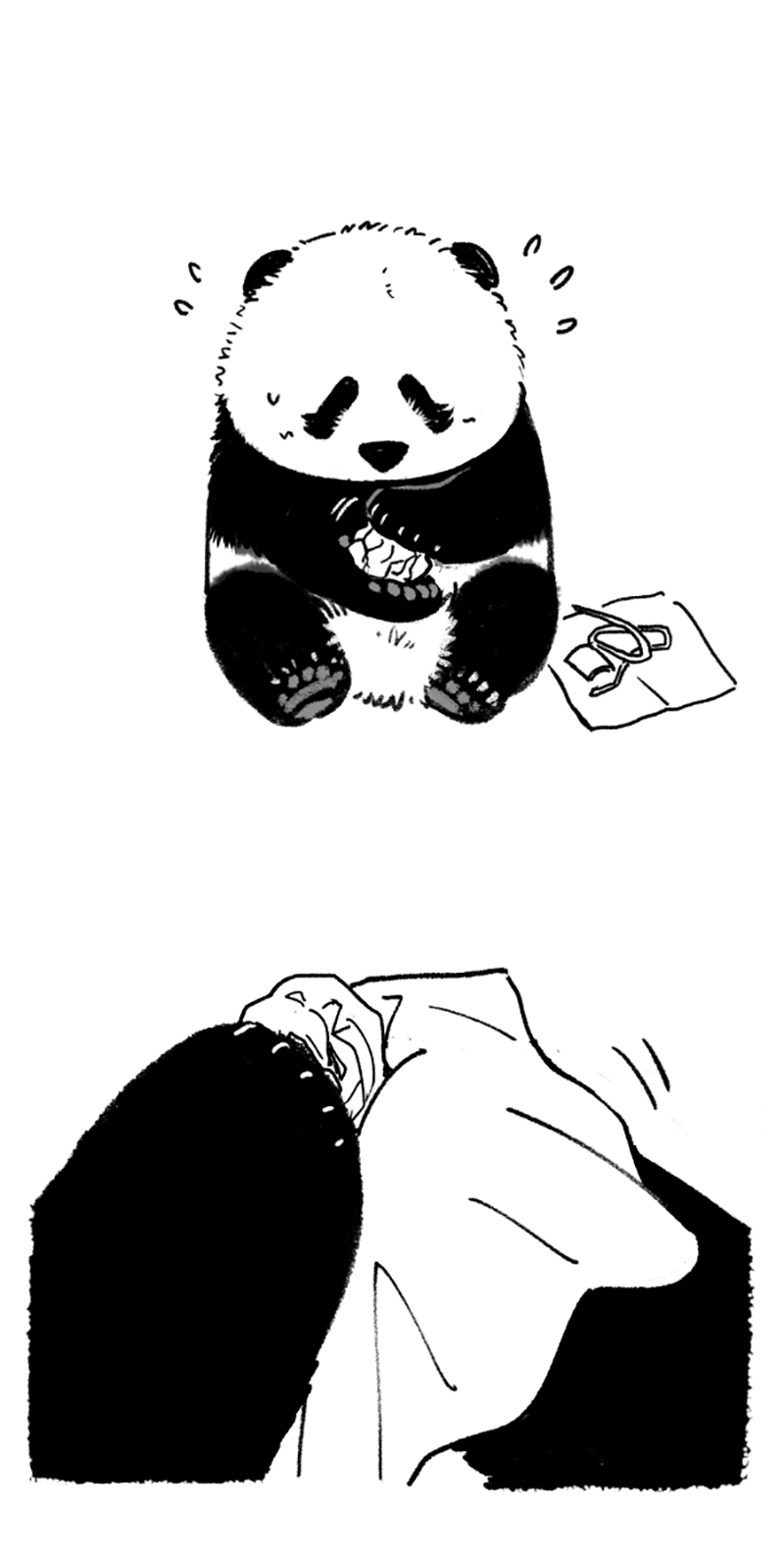 快把动物放进冰箱205 为澳洲林火中的冻物祈福