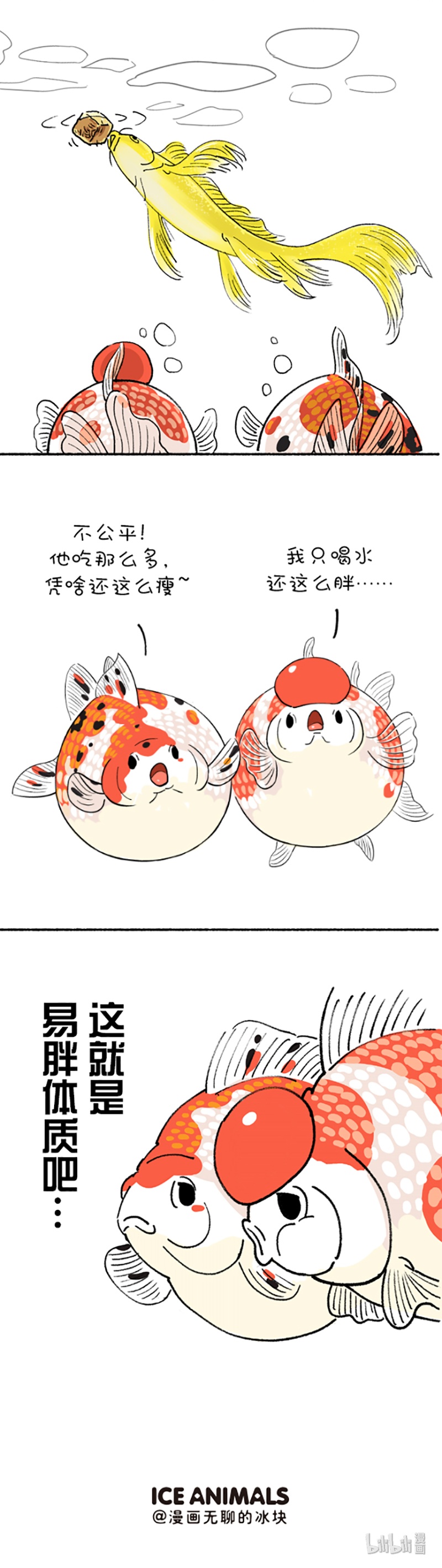 快把动物放进冰箱206 如何判断自己是不是易胖体质