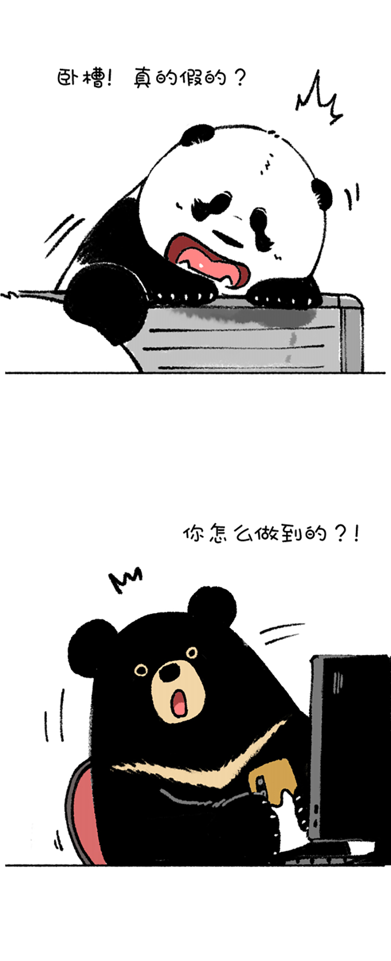 快把动物放进冰箱207 过年话家的票要来了