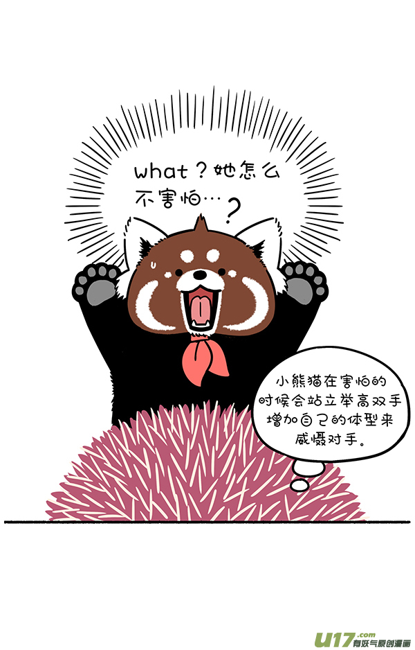 快把动物放进冰箱放风筝／ 把妹作战