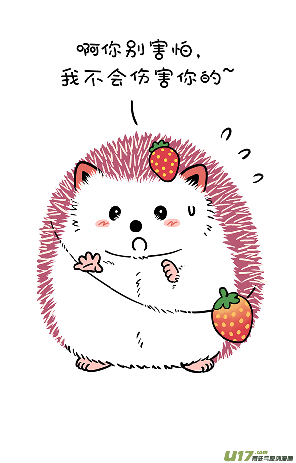 快把动物放进冰箱放风筝／ 把妹作战