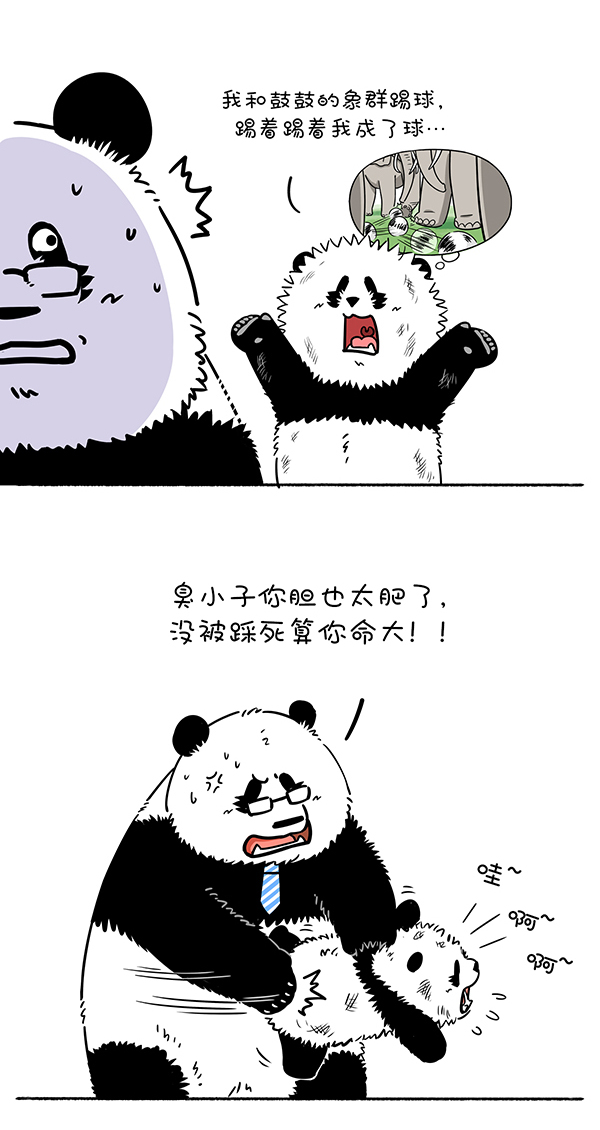 快把动物放进冰箱297 父爱无形，却有迹可循~