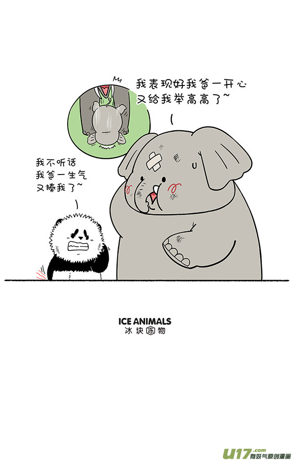 快把动物放进冰箱父情节／太空粽子／足球／降级