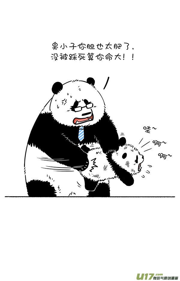 快把动物放进冰箱父情节／太空粽子／足球／降级