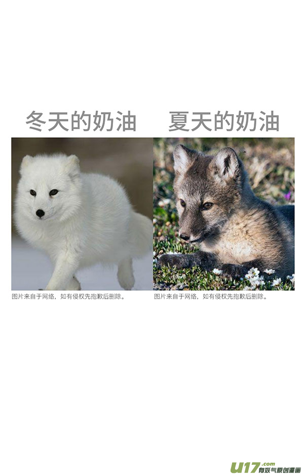 快把动物放进冰箱正常来讲，笔直的路不太会出轨...