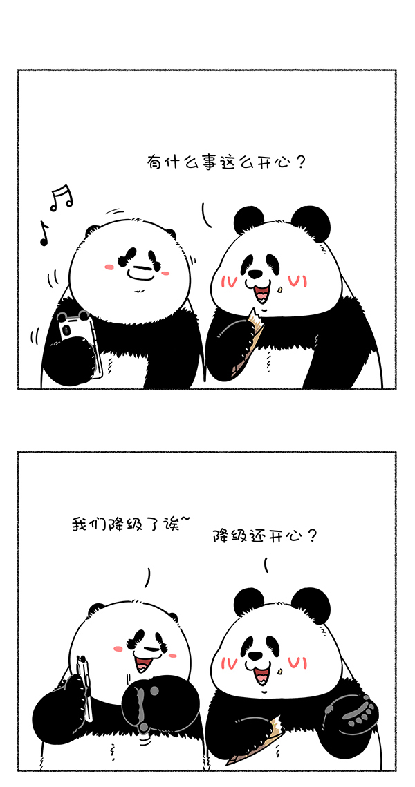 快把动物放进冰箱301 热烈庆祝大熊猫成功降级，也祝贺奇思圆宝不忘初心~