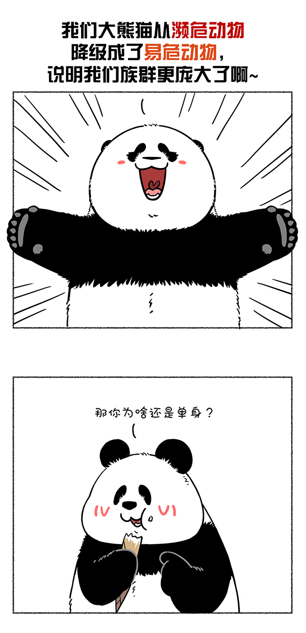 快把动物放进冰箱301 热烈庆祝大熊猫成功降级，也祝贺奇思圆宝不忘初心~