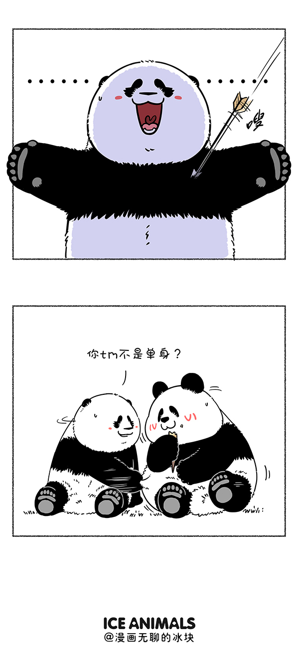 快把动物放进冰箱301 热烈庆祝大熊猫成功降级，也祝贺奇思圆宝不忘初心~