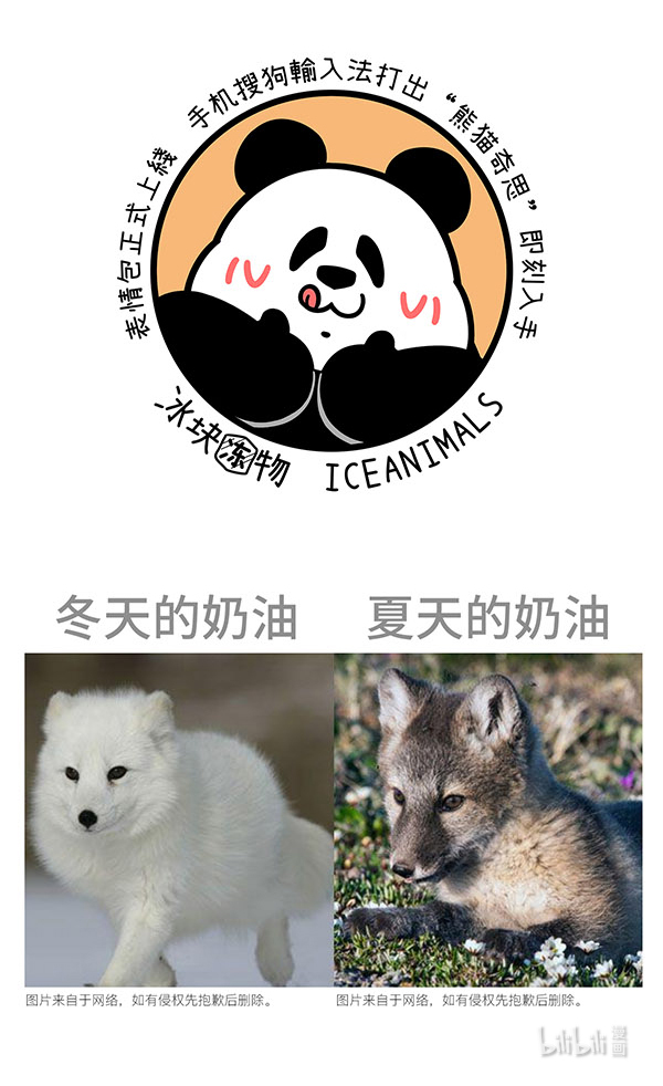 快把动物放进冰箱302 正常来讲，笔直的路不太会出轨......