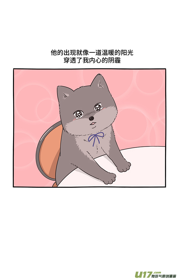 快把动物放进冰箱看烟花／保家亲兄弟／奶油的秘密3