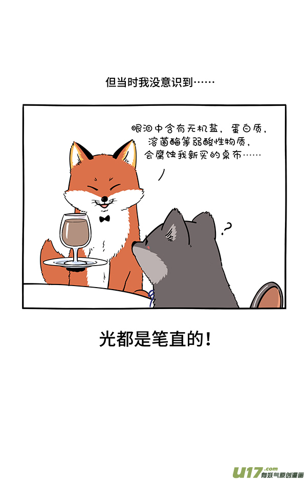 快把动物放进冰箱看烟花／保家亲兄弟／奶油的秘密3
