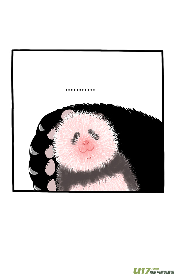 快把动物放进冰箱想象不到的快乐／初生熊犊不怕虎