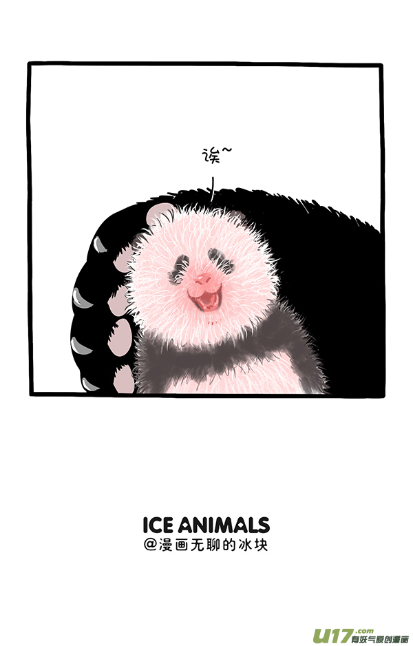 快把动物放进冰箱想象不到的快乐／初生熊犊不怕虎