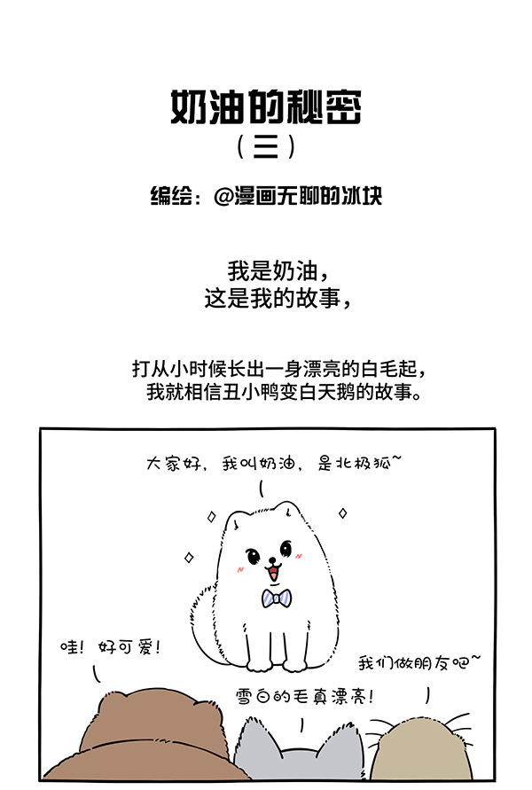 快把动物放进冰箱306 人生若只如初见，一束强光挺晃眼~