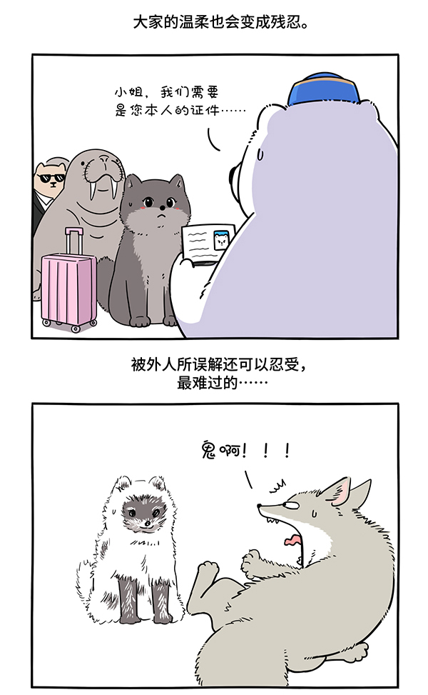 快把动物放进冰箱306 人生若只如初见，一束强光挺晃眼~