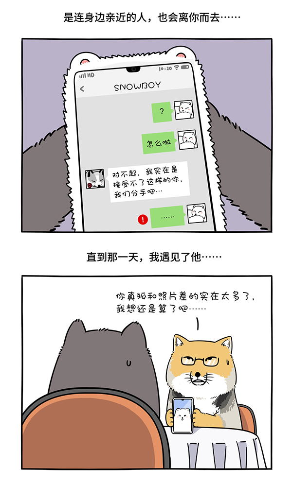 快把动物放进冰箱306 人生若只如初见，一束强光挺晃眼~