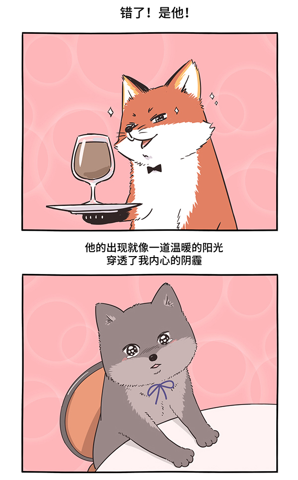 快把动物放进冰箱306 人生若只如初见，一束强光挺晃眼~