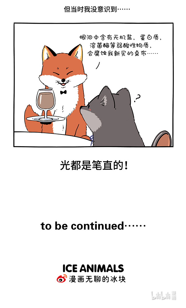 快把动物放进冰箱306 人生若只如初见，一束强光挺晃眼~
