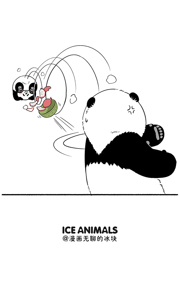 快把动物放进冰箱323 遇上了有趣的熊，吃个水果都可以这么刺激~