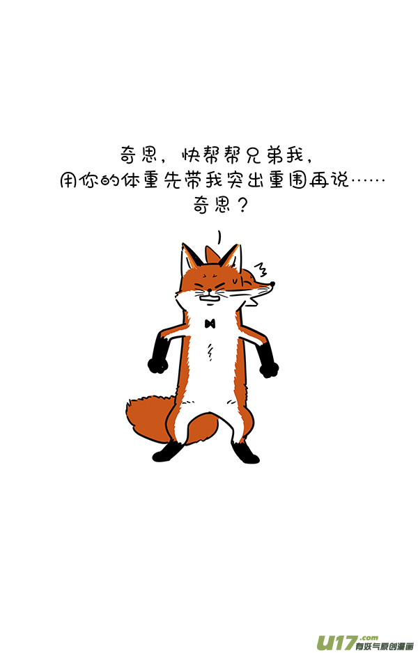 快把动物放进冰箱霜糖丸子／真实的就是最好的自己！