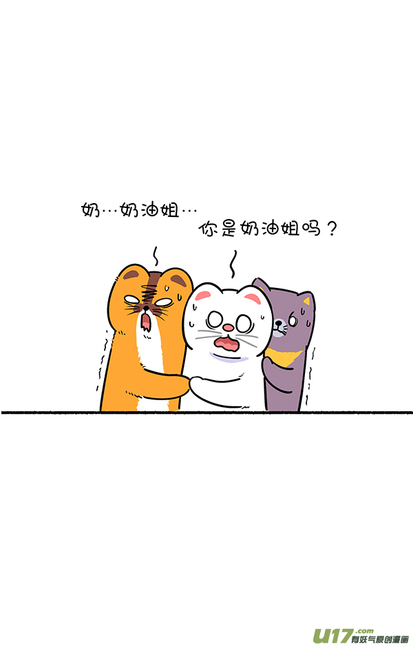 快把动物放进冰箱霜糖丸子／真实的就是最好的自己！