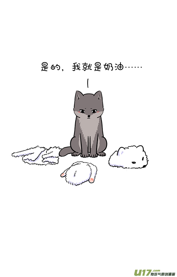 快把动物放进冰箱霜糖丸子／真实的就是最好的自己！