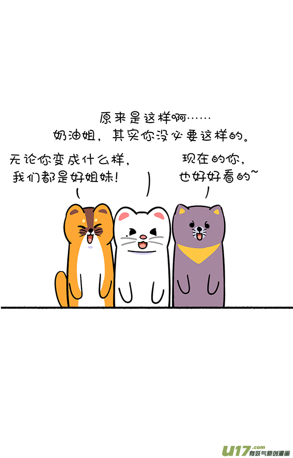 快把动物放进冰箱霜糖丸子／真实的就是最好的自己！
