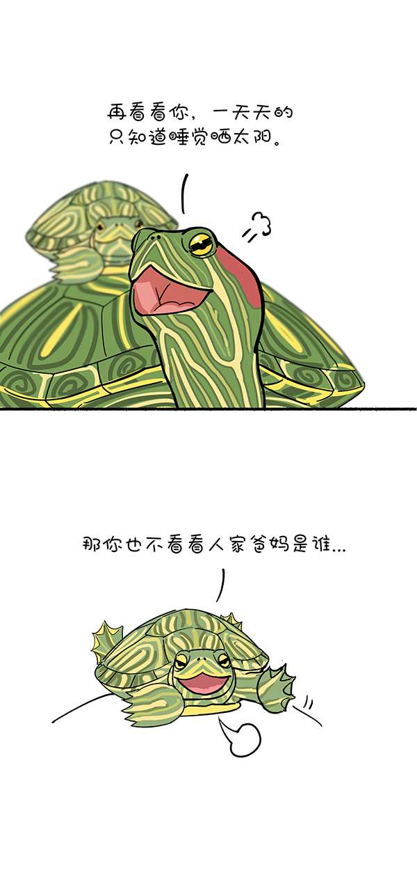 快把动物放进冰箱326 家家有本双标的经
