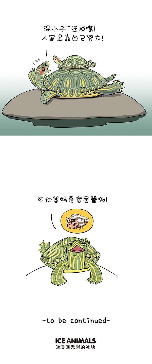 快把动物放进冰箱326 家家有本双标的经