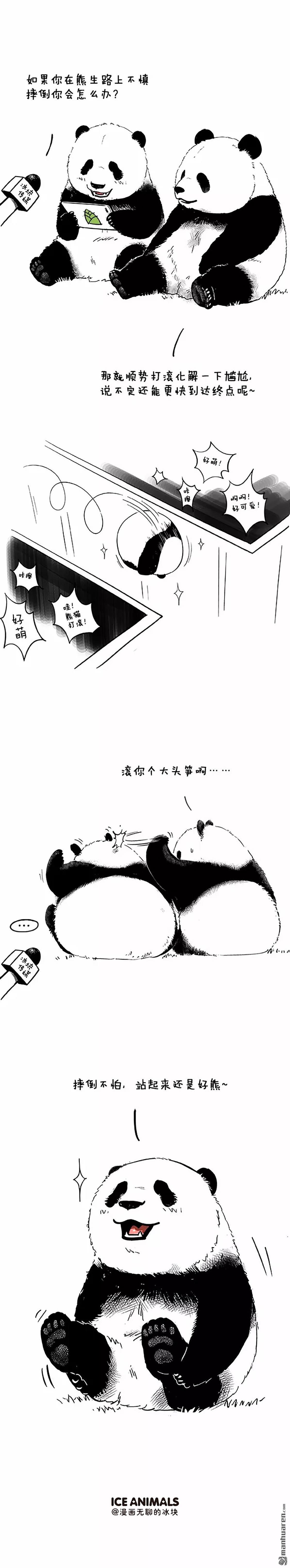 快把动物放进冰箱第20话 摔倒