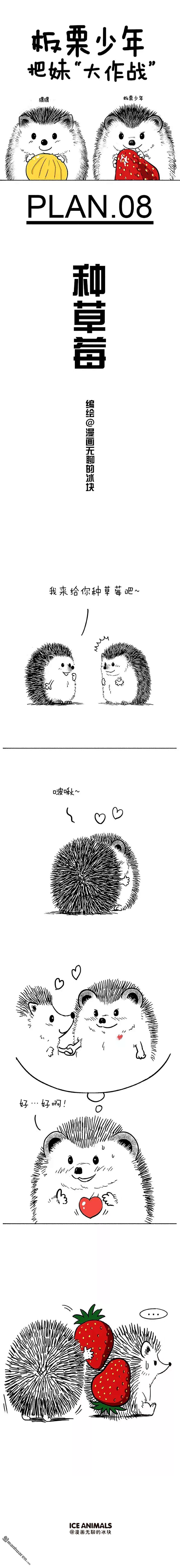 快把动物放进冰箱第57话 种草莓