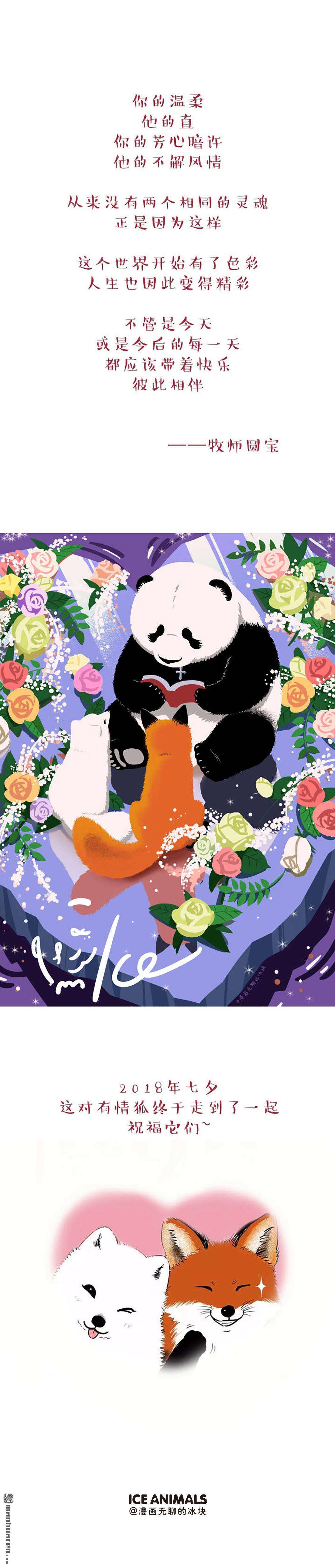 快把动物放进冰箱第82话 梦中的婚礼 祝福