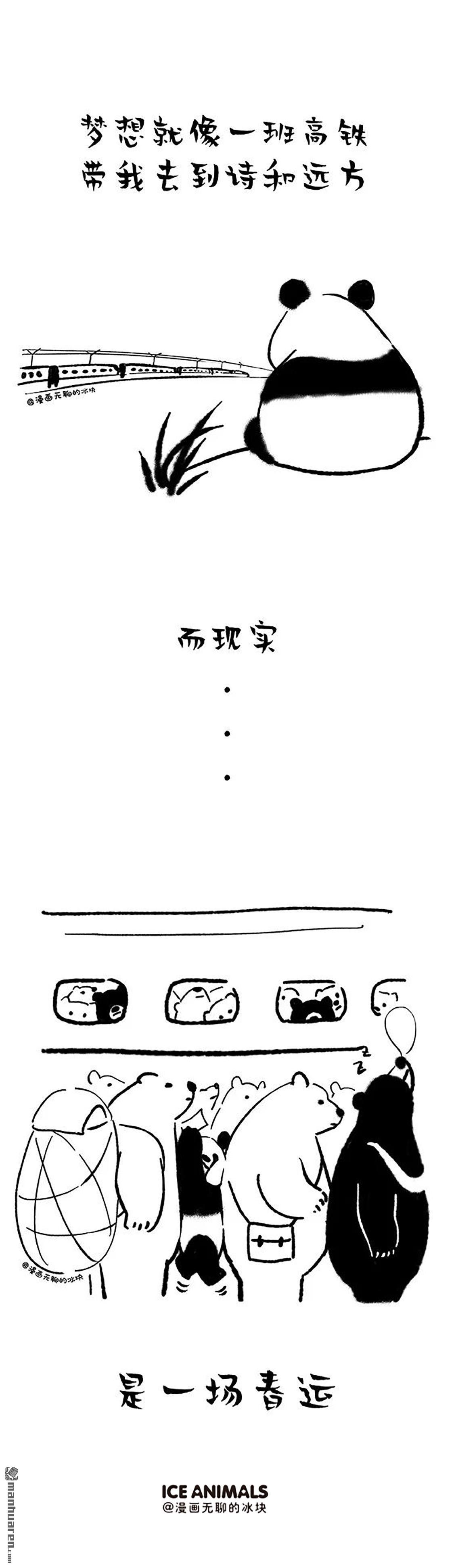 快把动物放进冰箱第115话 我的熊生需要诗和远方