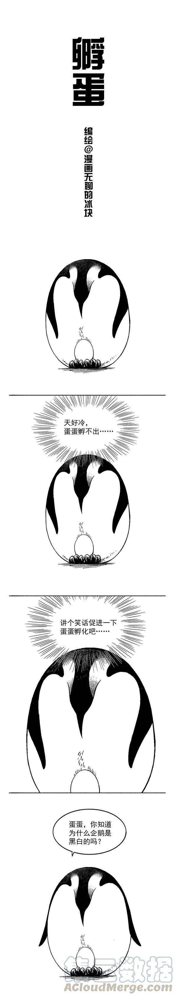 快把动物放进冰箱001 孵蛋