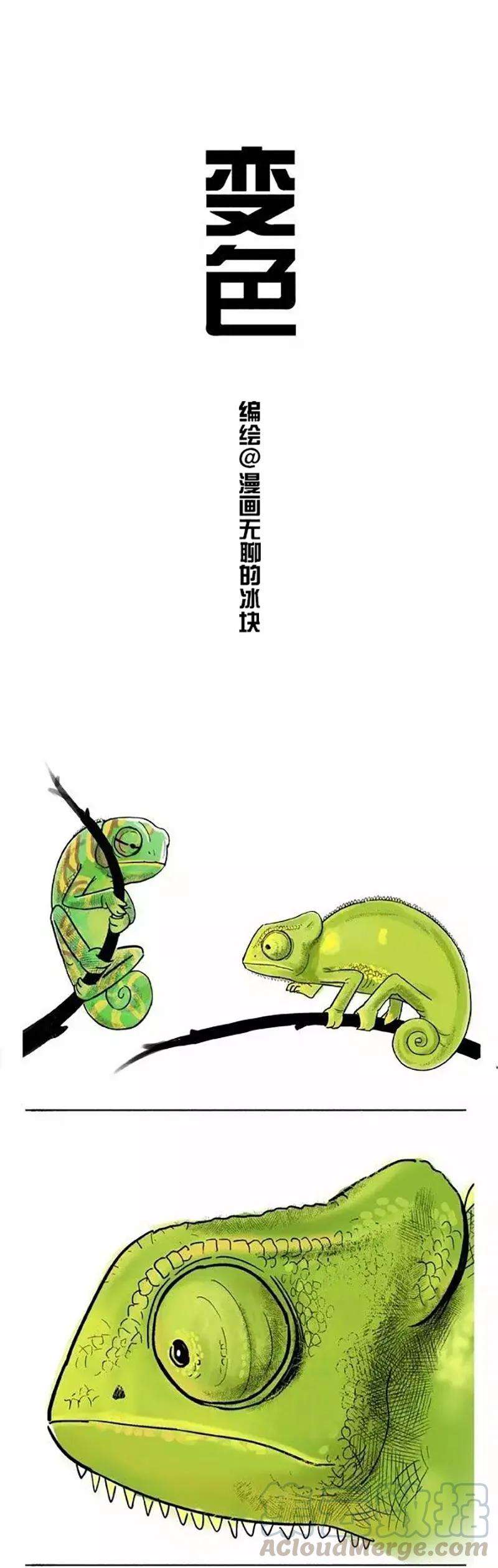 快把动物放进冰箱002 变色