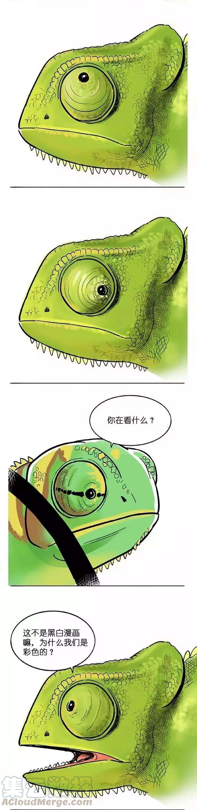 快把动物放进冰箱002 变色