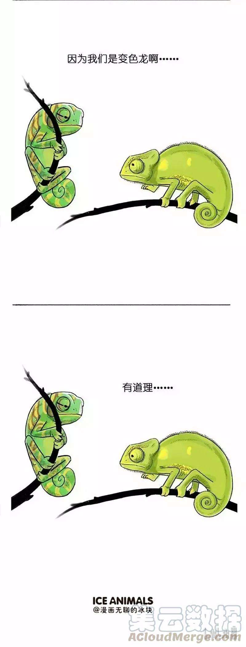 快把动物放进冰箱002 变色
