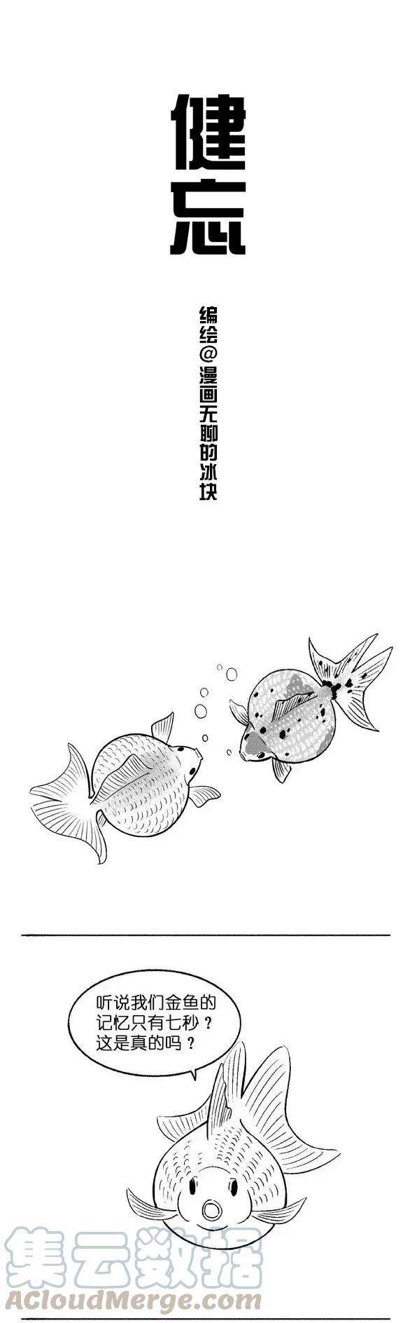 快把动物放进冰箱004 健忘